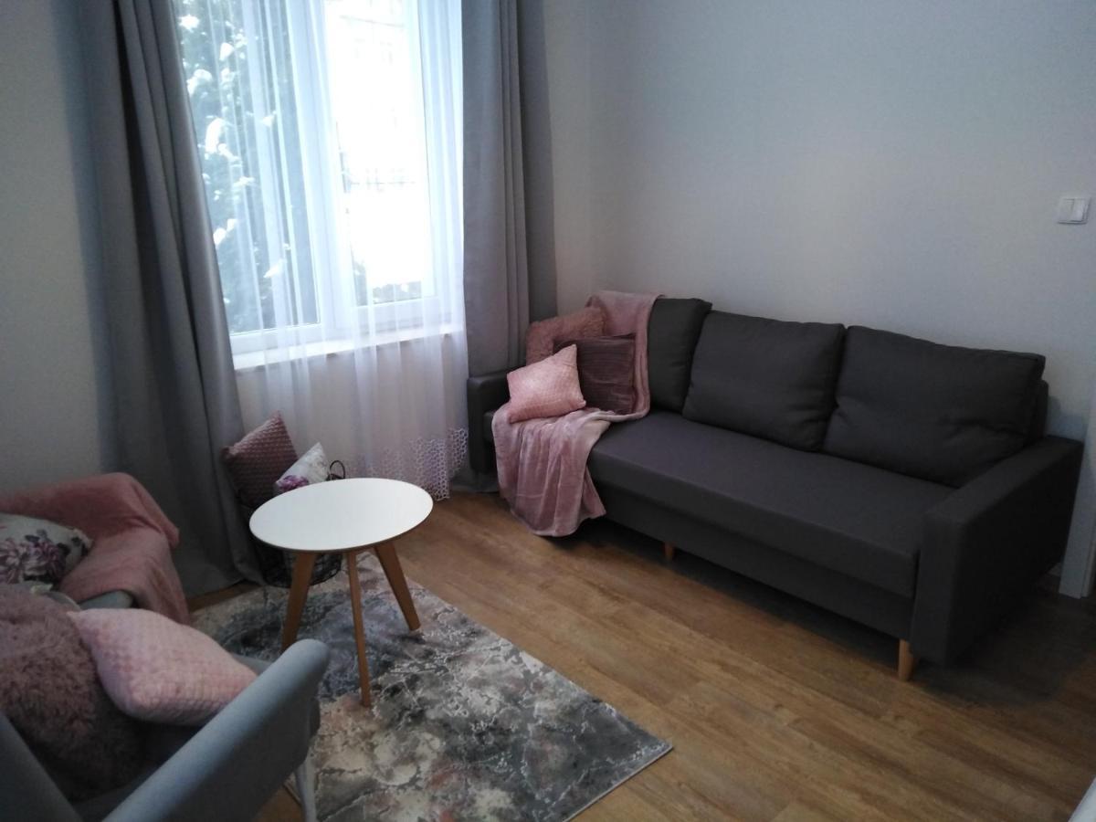 Apartament Joanna Apartment Санок Екстериор снимка